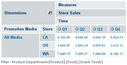 ja ug analysisview foodmart mondrian westcoast