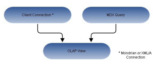 ja anatomy olap view