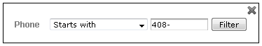js Report IV Filter