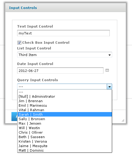 js ReportOptions InputControls queryinput