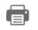 print icon