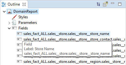 jss Outline DomainReport Fields